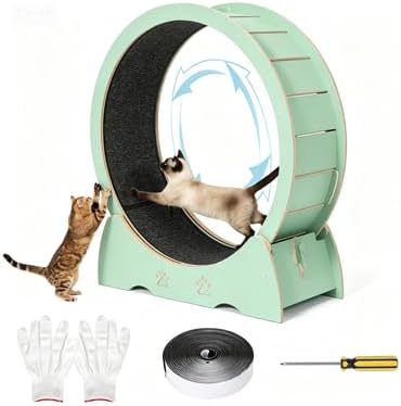 Escalier, Roue d'exercice pour Chat en Bois silencieuse, 12 mm, Acekool, 12mm, Finition en Bois Naturel, Tapis Roulant d'intérieur pour Chat