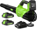 Accessoire pour outillage de jardin MTKOALA, Souffleur de feuilles sans fil avec 2 batteries de 2, 6 Ah et chargeur rapide, 2 modes, 20 V