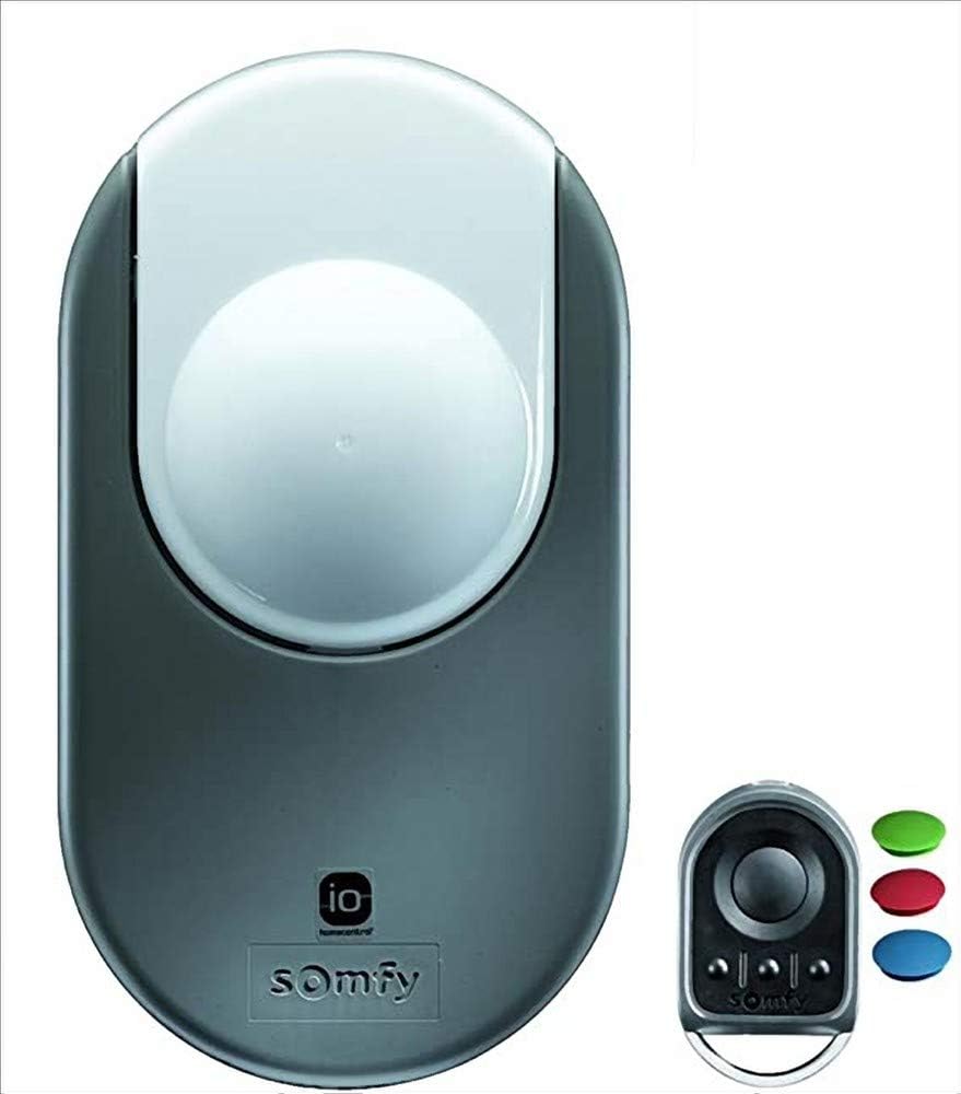 somfy Quincaillerie de portail, 500 W, télécommande, Motorisation porte de garage '' DEXXO Pro 800 io moteur seul+ 2téléco Keygo